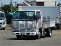 2013 Isuzu Elf Truck