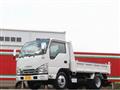2018 Isuzu Elf Truck