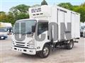2019 Isuzu Elf Truck