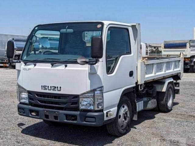 2017 Isuzu Elf Truck