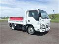 2020 Isuzu Elf Truck