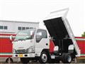 2019 Isuzu Elf Truck