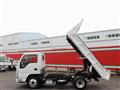 2019 Isuzu Elf Truck