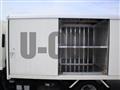 2021 Isuzu Elf Truck