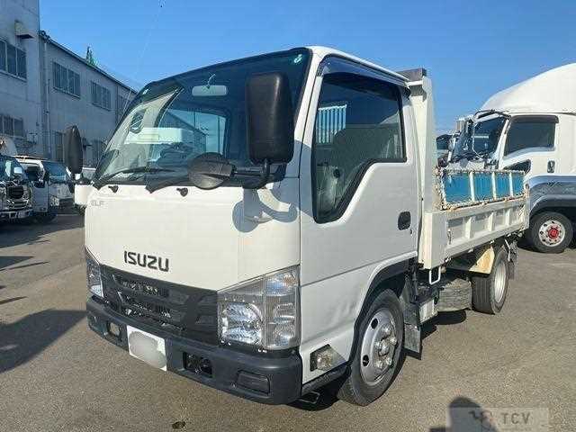 2020 Isuzu Elf Truck