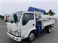 2017 Isuzu Elf Truck