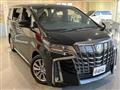 2020 Toyota Alphard G