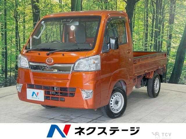 2018 Daihatsu Hijet Truck