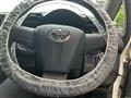 2010 Toyota Wish