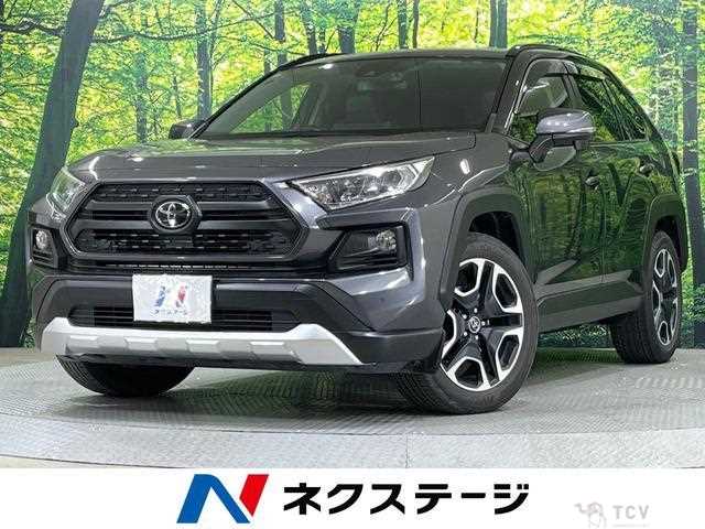 2019 Toyota RAV4