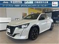 2021 Peugeot Peugoet Others