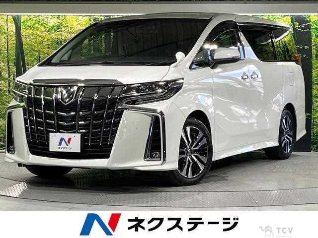 2019 Toyota Alphard G