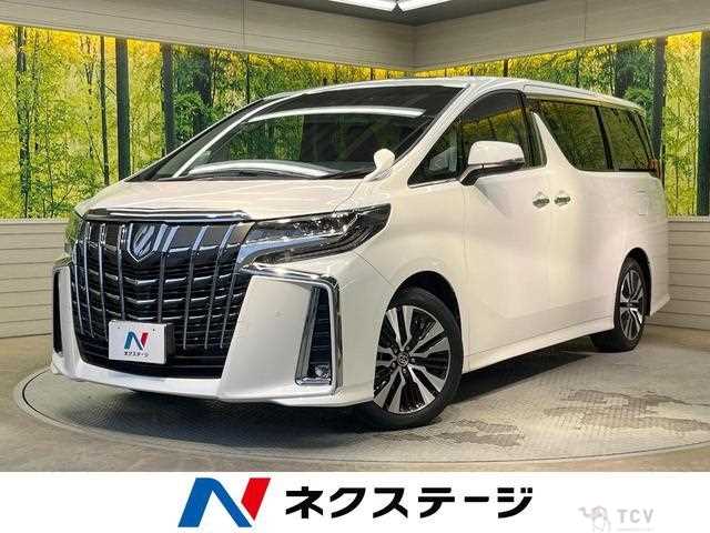 2020 Toyota Alphard G