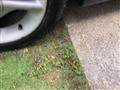 2005 Suzuki Wagon R