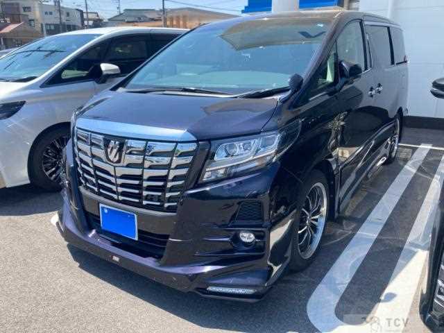 2016 Toyota Alphard G