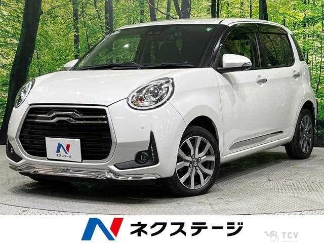 2019 Toyota Passo