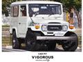 1981 Toyota Land Cruiser