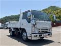 2018 Isuzu Elf Truck