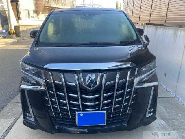 2019 Toyota Alphard G