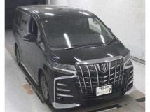 2019 Toyota Alphard G