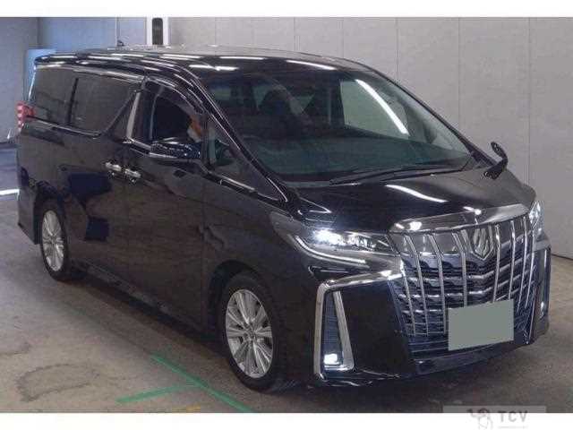 2019 Toyota Alphard G