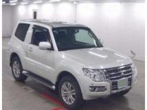 2017 Mitsubishi Pajero