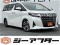 2019 Toyota Alphard G