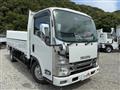 2010 Isuzu Elf Truck