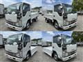 2019 Isuzu Elf Truck