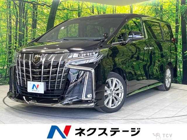 2020 Toyota Alphard G