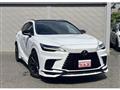 2025 Lexus RX