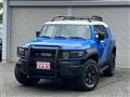 2010 Toyota FJ Cruiser