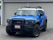 2010 Toyota FJ Cruiser