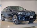 2023 BMW X6