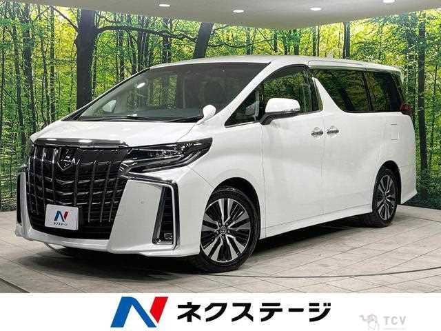 2019 Toyota Alphard G