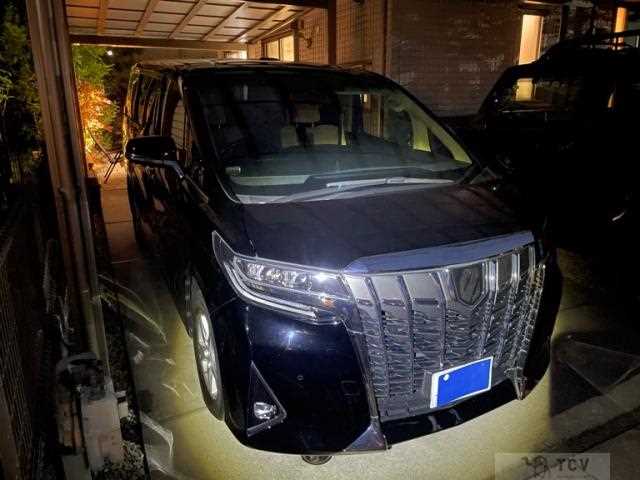 2022 Toyota Alphard G
