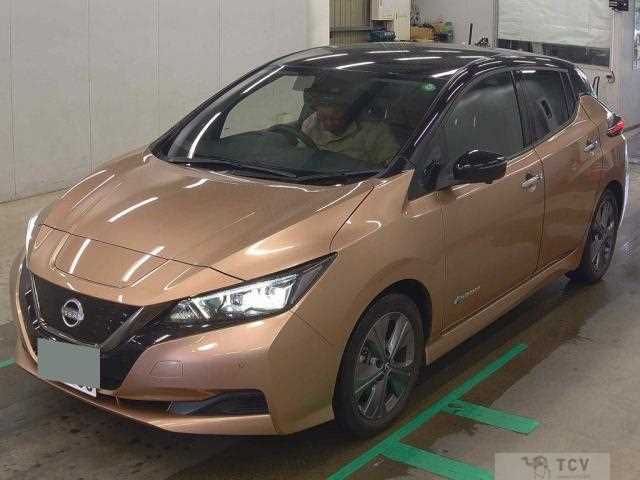 2021 Nissan Leaf