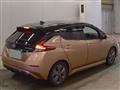 2021 Nissan Leaf