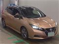 2021 Nissan Leaf
