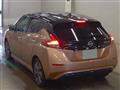 2021 Nissan Leaf