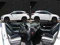 2020 Lexus RX