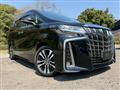 2021 Toyota Alphard G
