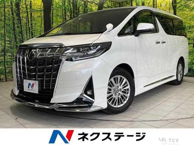 2019 Toyota Alphard G