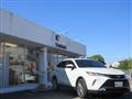 2020 Toyota Harrier