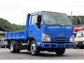 2017 Isuzu Elf Truck