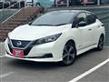 2017 Nissan Leaf