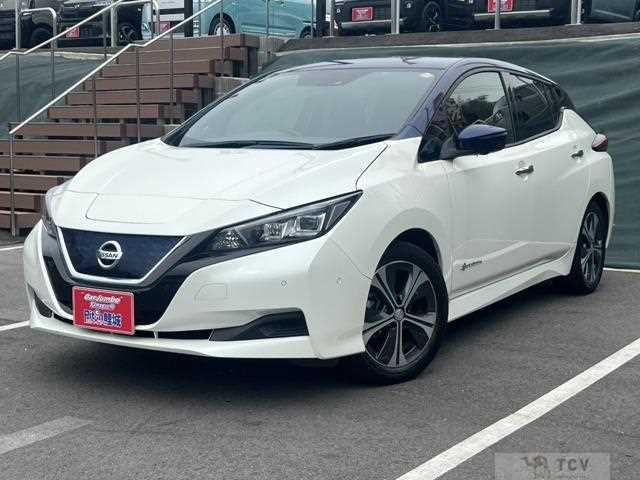 2017 Nissan Leaf