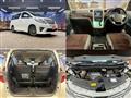 2013 Toyota Alphard G