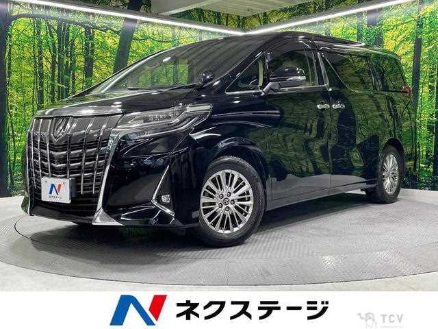 2019 Toyota Alphard G