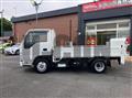 2019 Isuzu Elf Truck